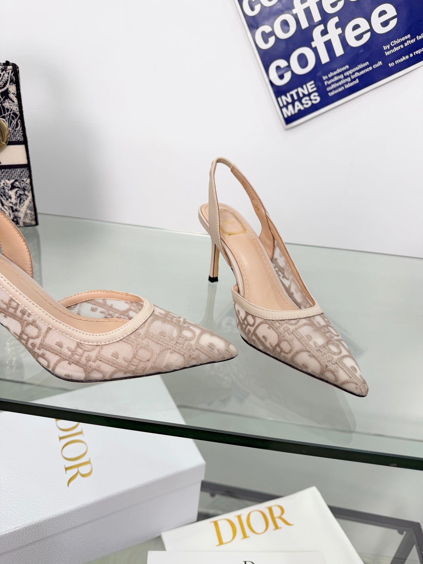 NUDE MONOGRAM MESH SLINGBACK POINTED HEELS