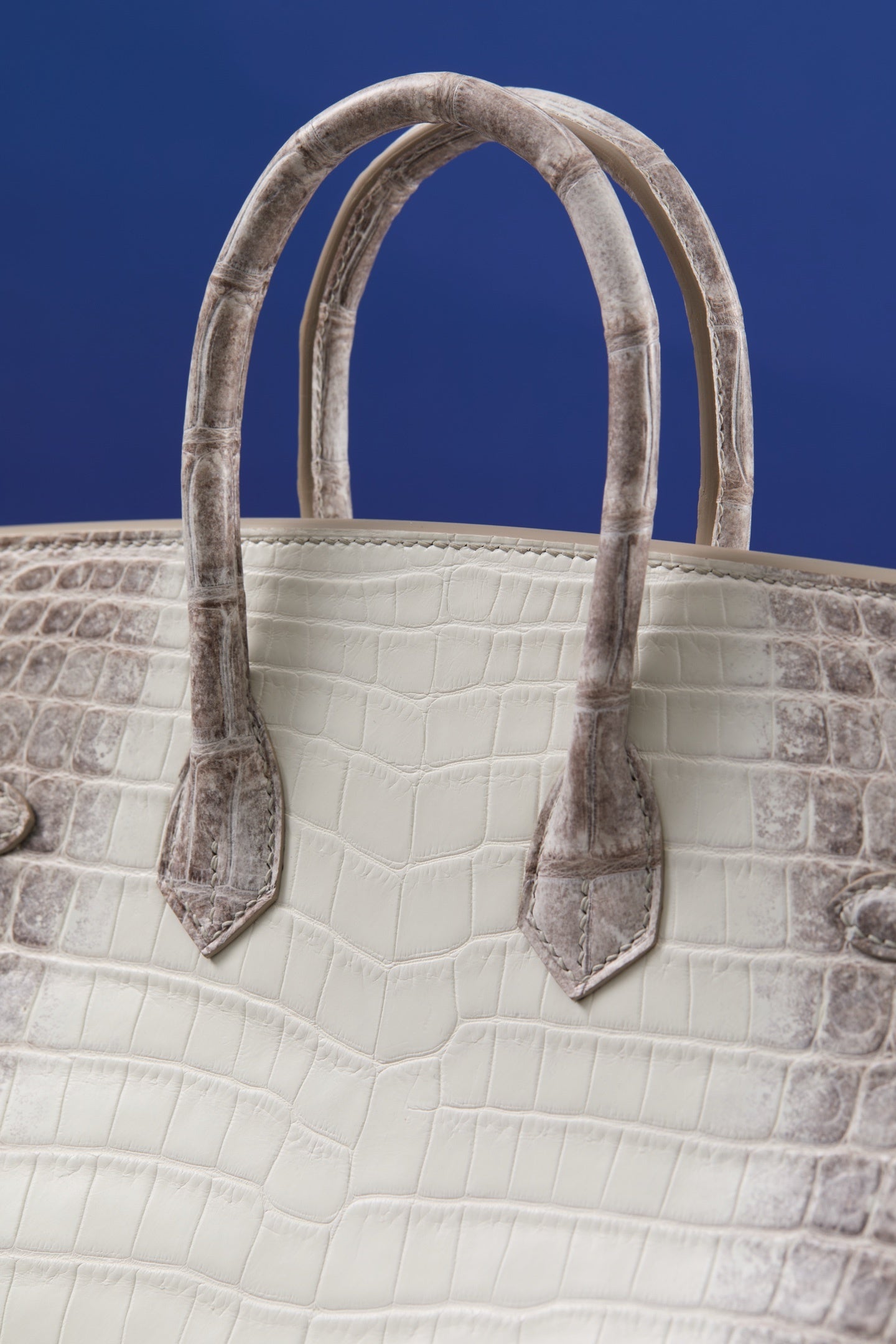 ARCTIC CROC BIRKIN