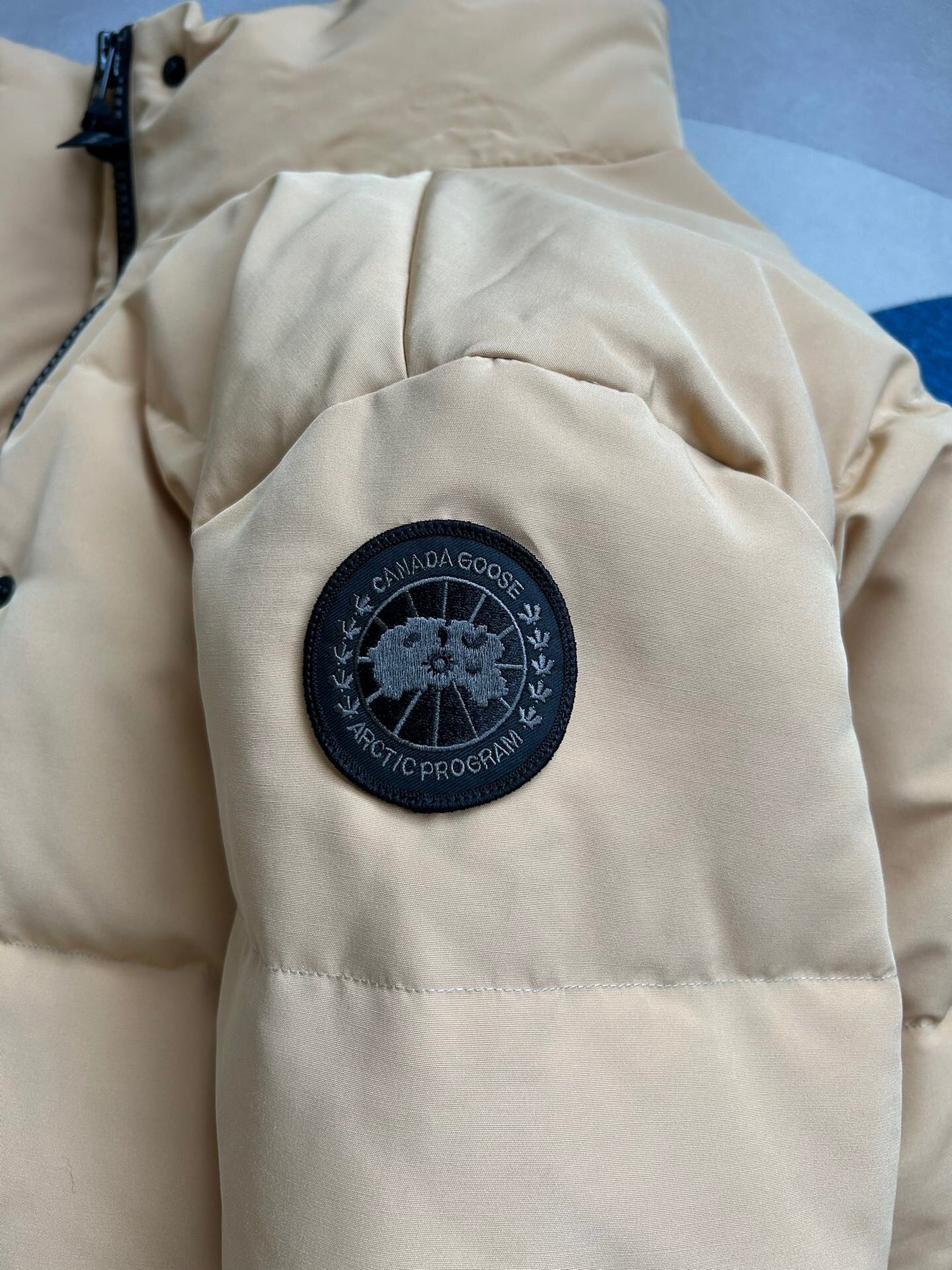 WOMEN’S CROPPED PADDED PUFFER JACKET WITH STAND COLLAR