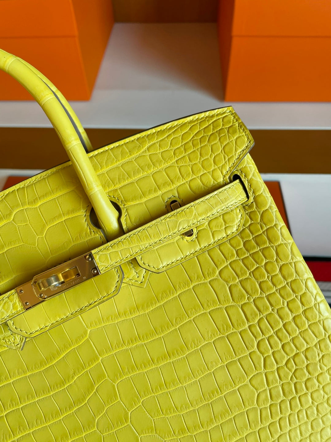 CITRUS CROC BIRKIN