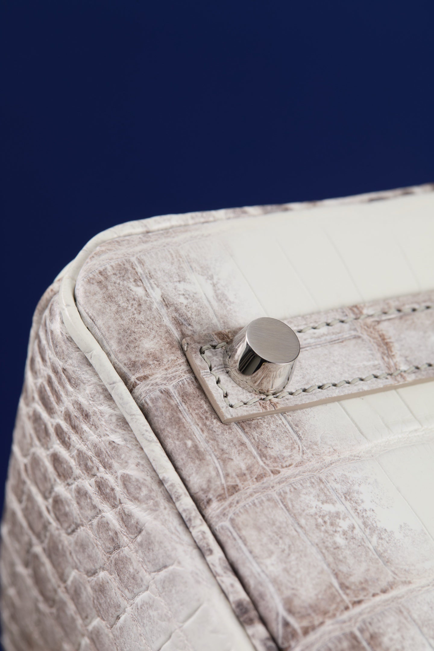 ARCTIC CROC BIRKIN
