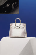 ARCTIC CROC BIRKIN