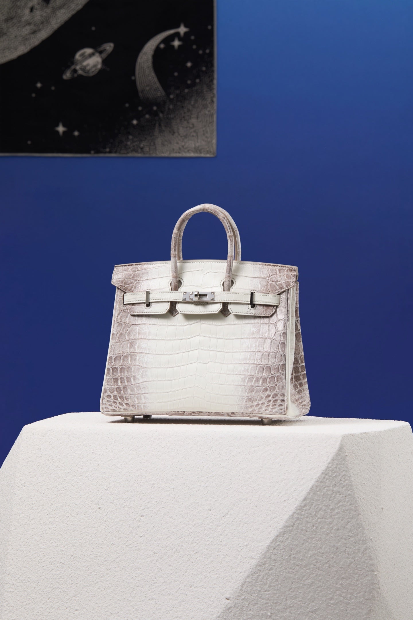 ARCTIC CROC BIRKIN
