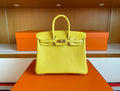CITRUS CROC BIRKIN