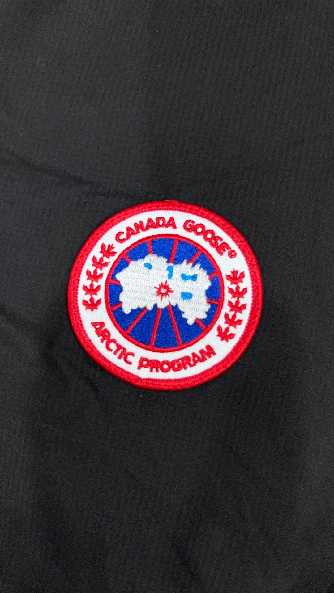 PADDED SNAP-BUTTON JACKET WITH CLASSIC COLLAR