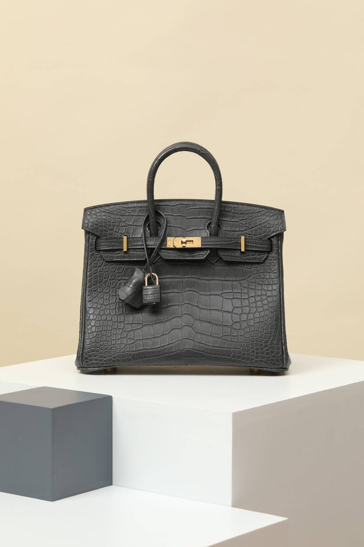 BLACK CROC BIRKIN