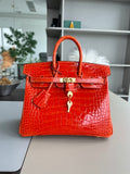 SUNSET CROC BIRKIN