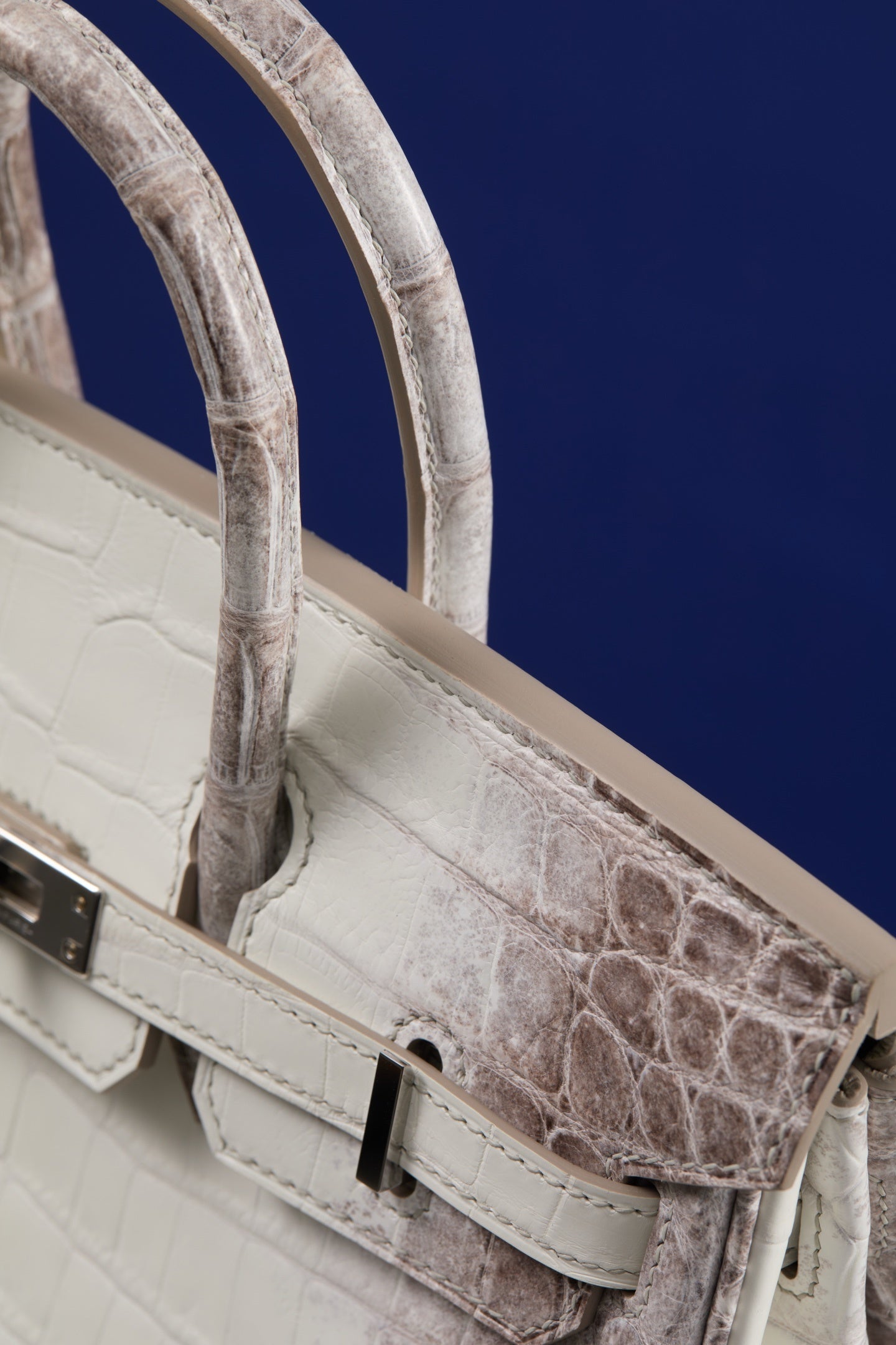 ARCTIC CROC BIRKIN