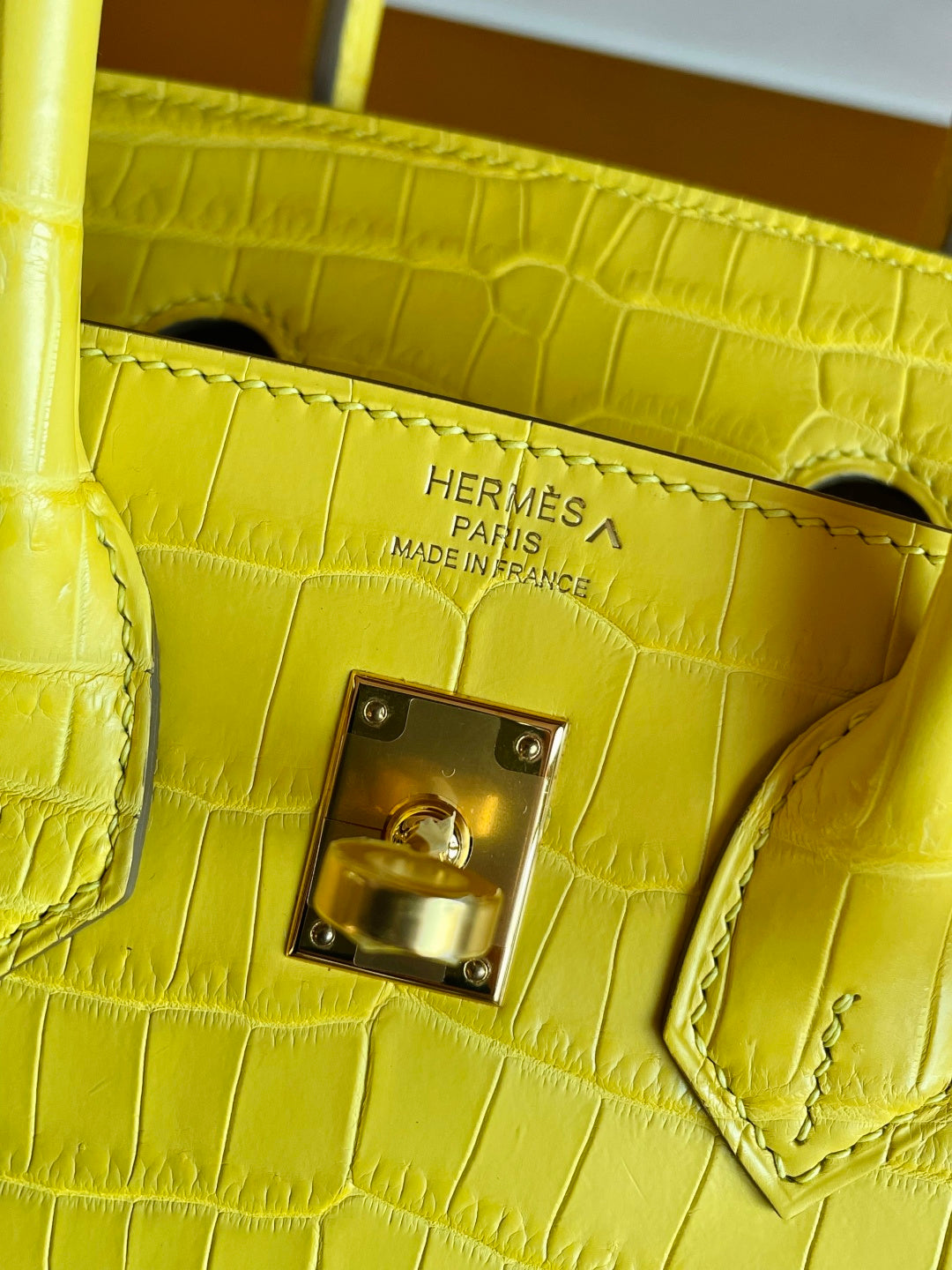 CITRUS CROC BIRKIN