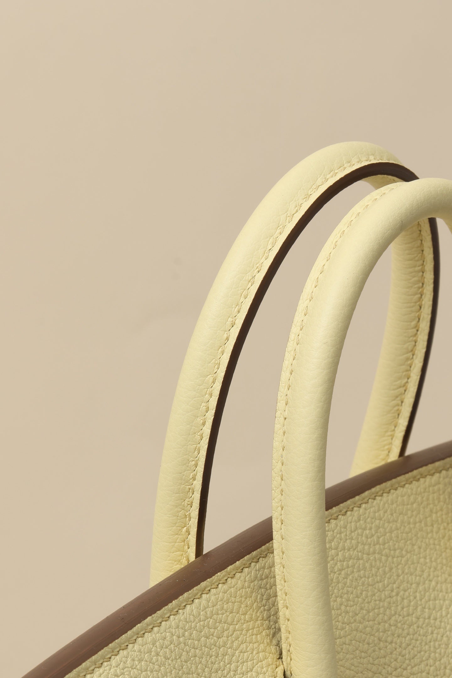 BUTTERCREAM BIRKIN