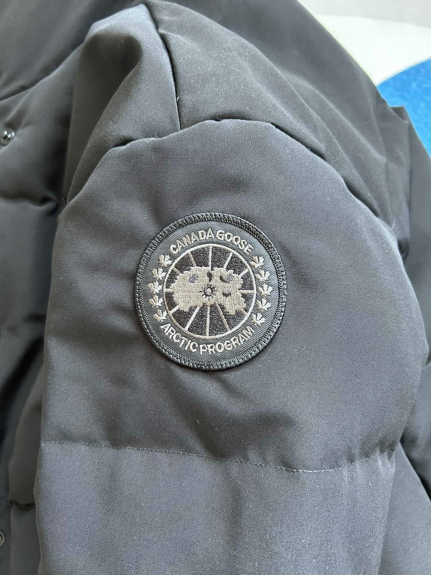 WOMEN’S BLACK CROPPED PADDED PUFFER JACKET WITH HIGH COLLAR