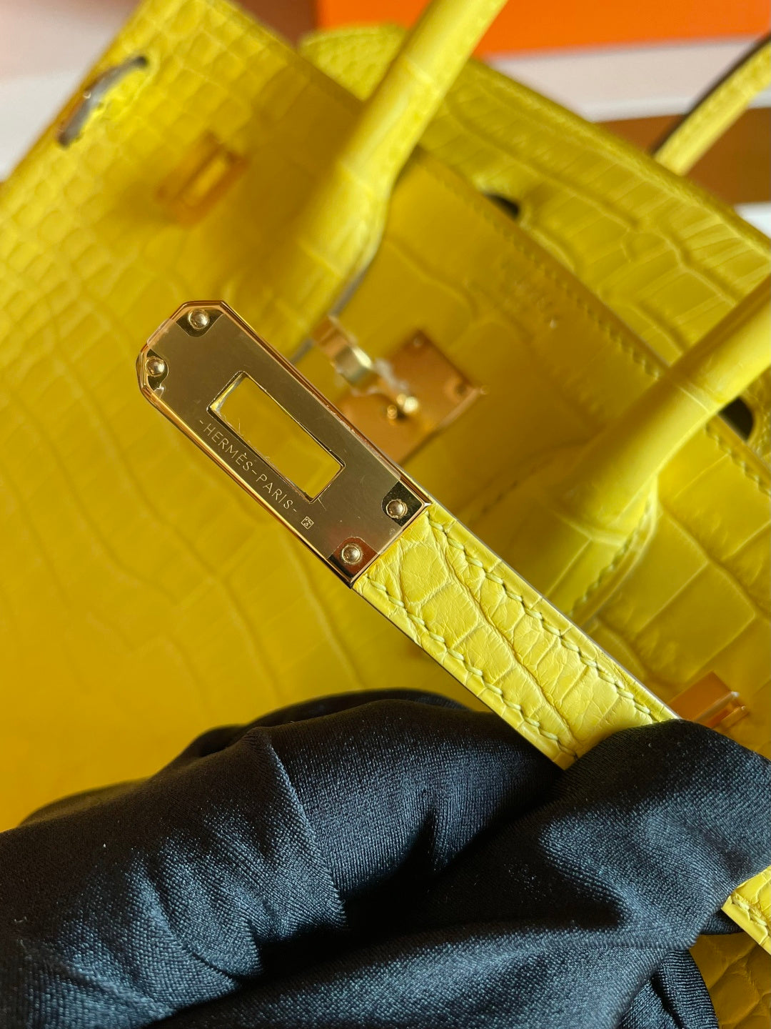 CITRUS CROC BIRKIN