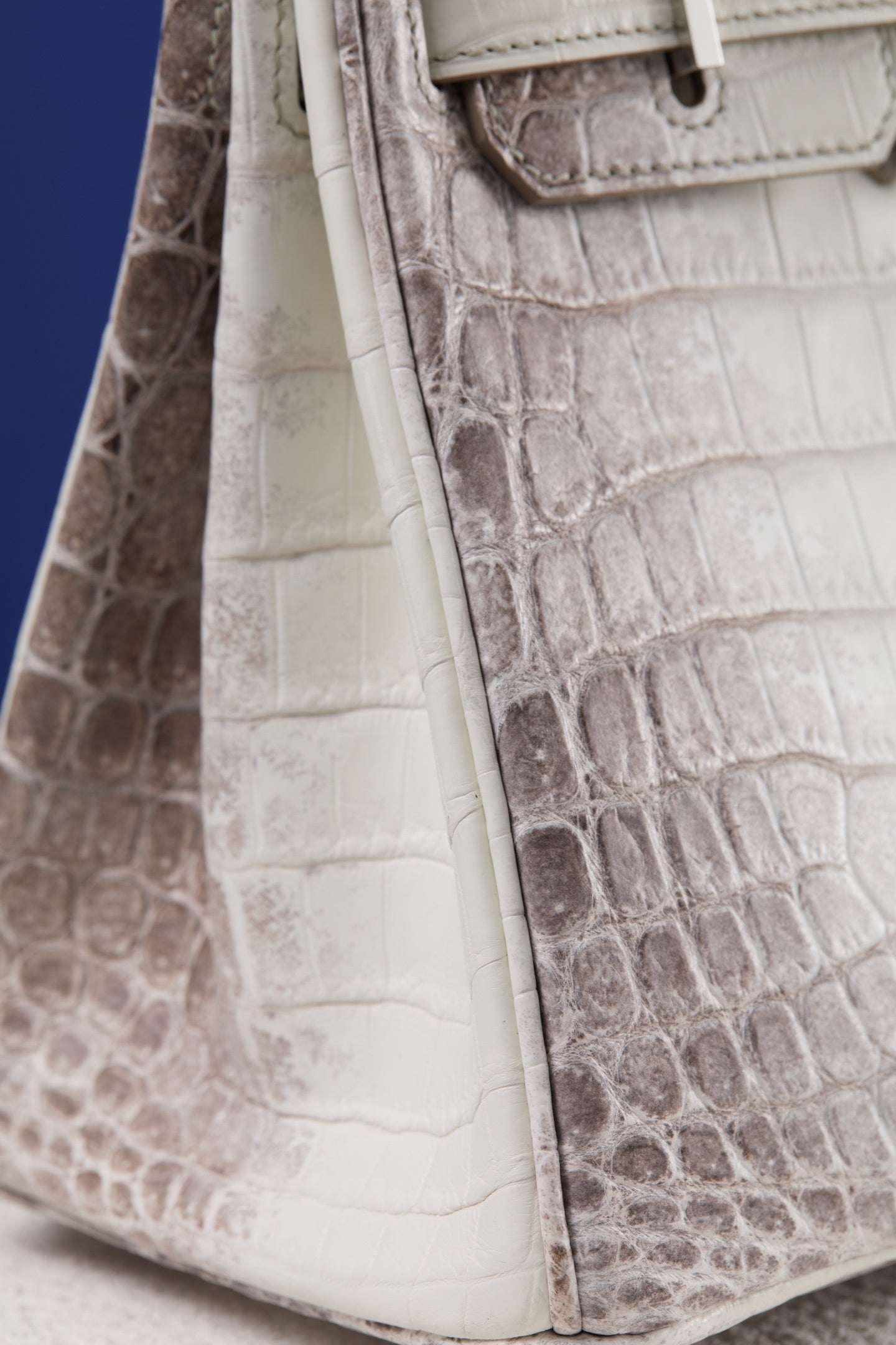 ARCTIC CROC BIRKIN