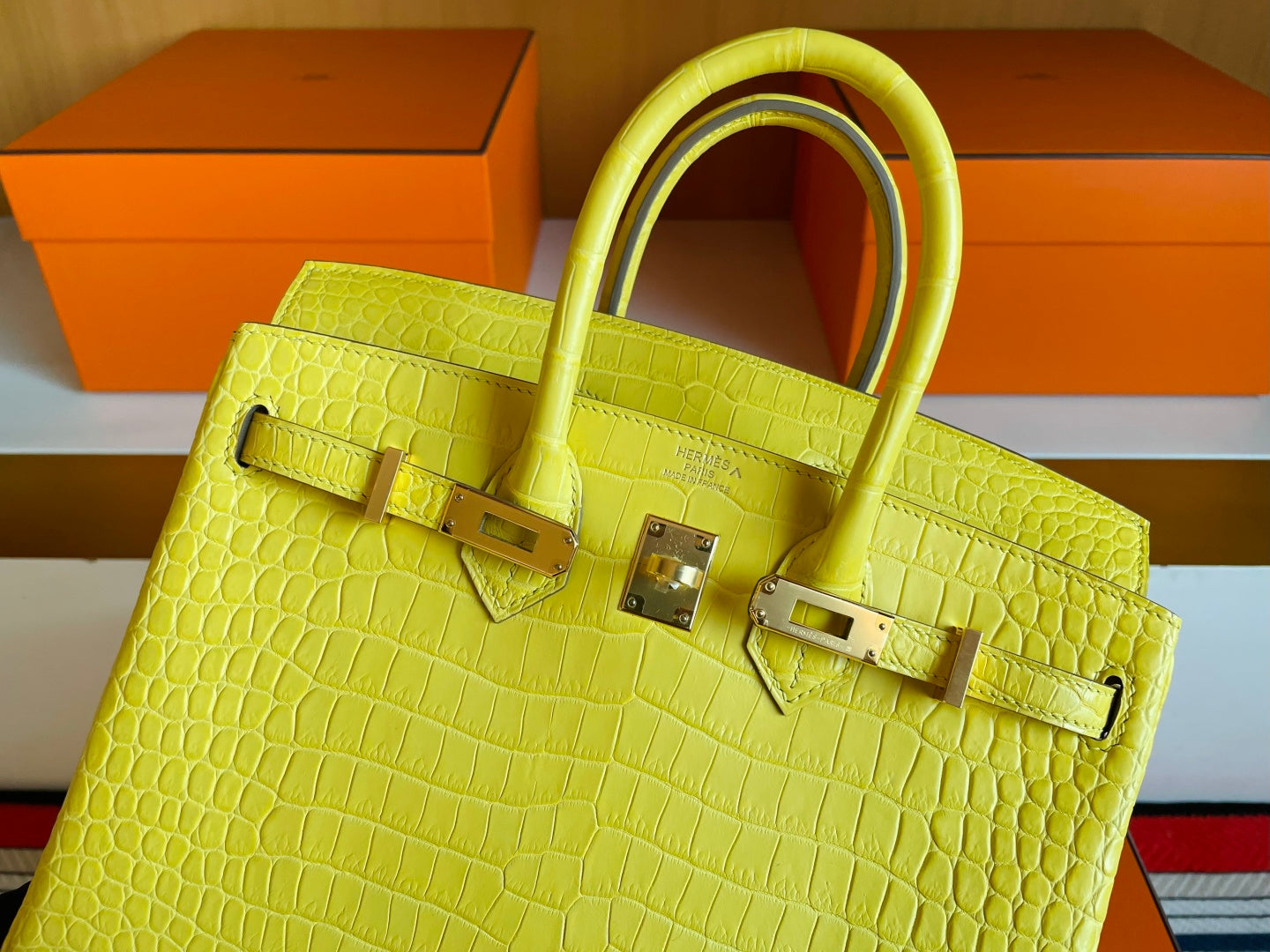 CITRUS CROC BIRKIN